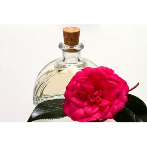 Масло Камелии (сасанквы японской) рафинированное оптом